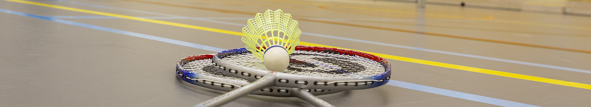 BADMINTON Header.jpg